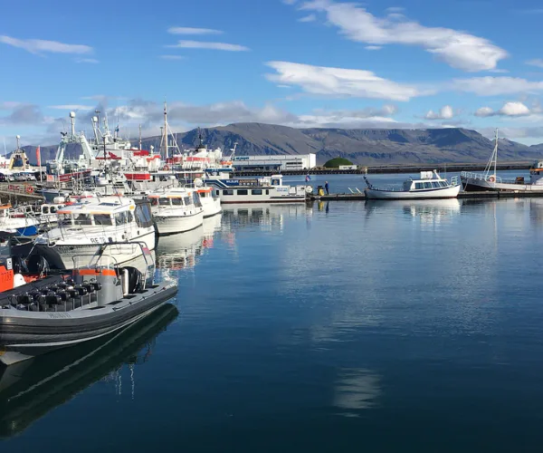Reykjavik Old Harbour